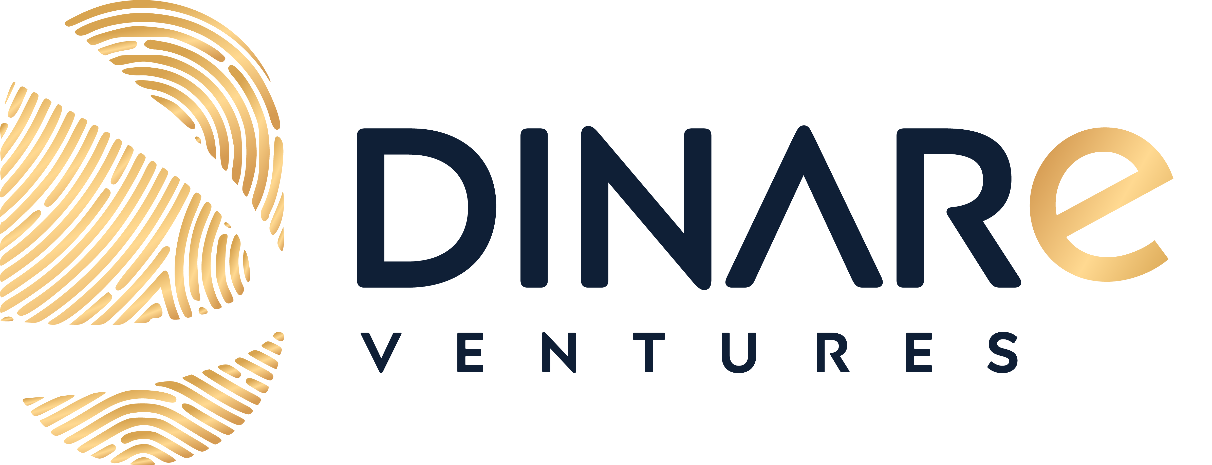 Dinare Ventures Website and Branding